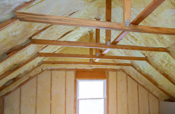 Best Insulation Removal Services  in Staples, MN