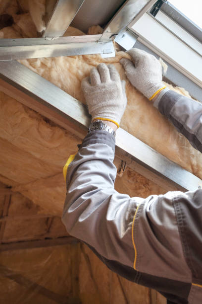 Best Insulation for New Construction  in Staples, MN
