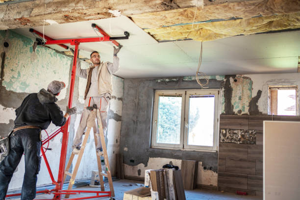 Insulation Repair Services in Staples, MN
