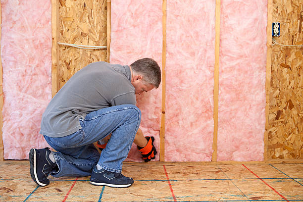 Trusted Staples, MN Insulation Contractor Experts