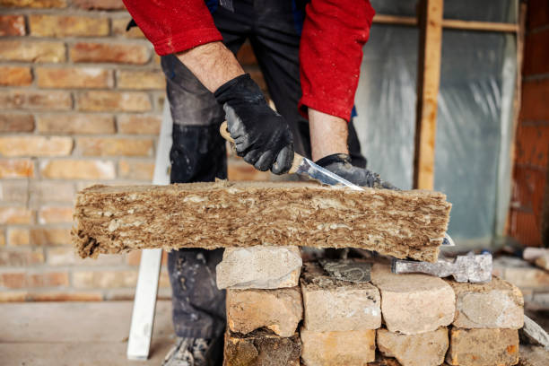 Best Insulation Removal  in Staples, MN