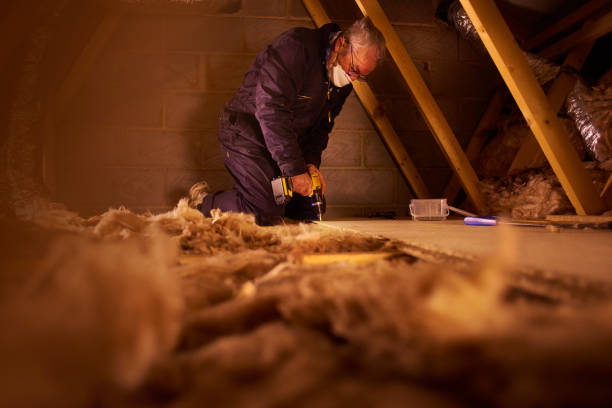 Best Commercial Insulation Contractor  in Staples, MN