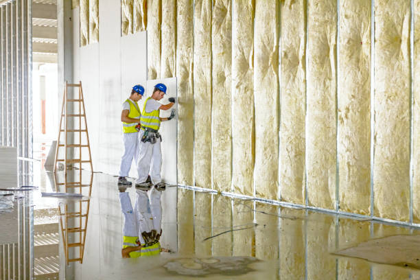 Best Cellulose Insulation  in Staples, MN